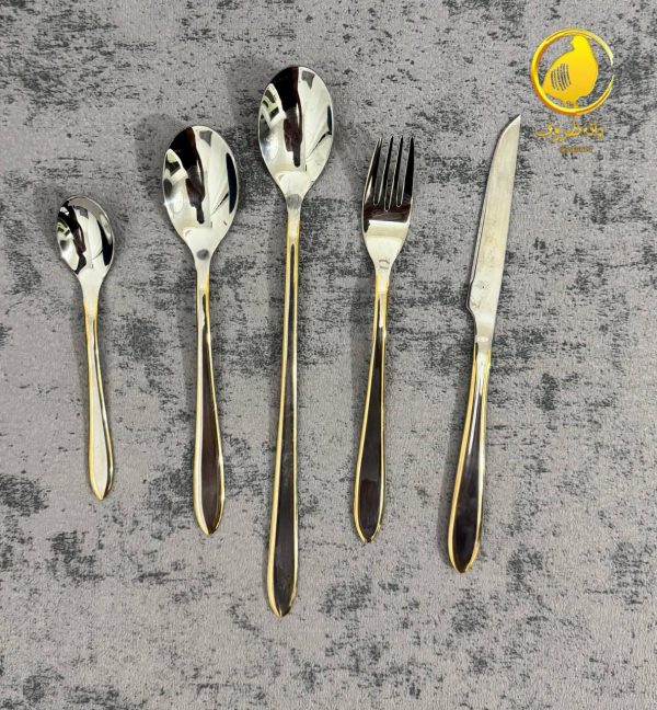 سرویس ۲۴ نفره دور طلایی
